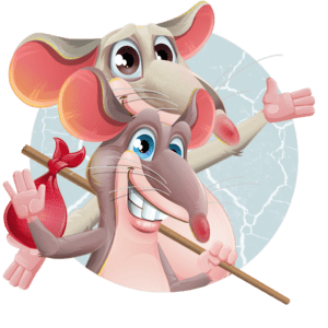 Duo bébés rats avec livraison en Beauce