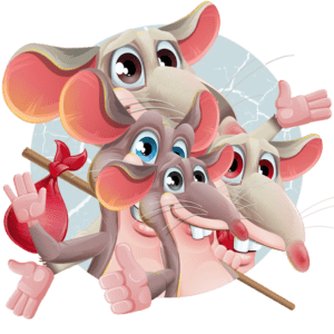 Quatuor bébés rats avec livraison en Beauce